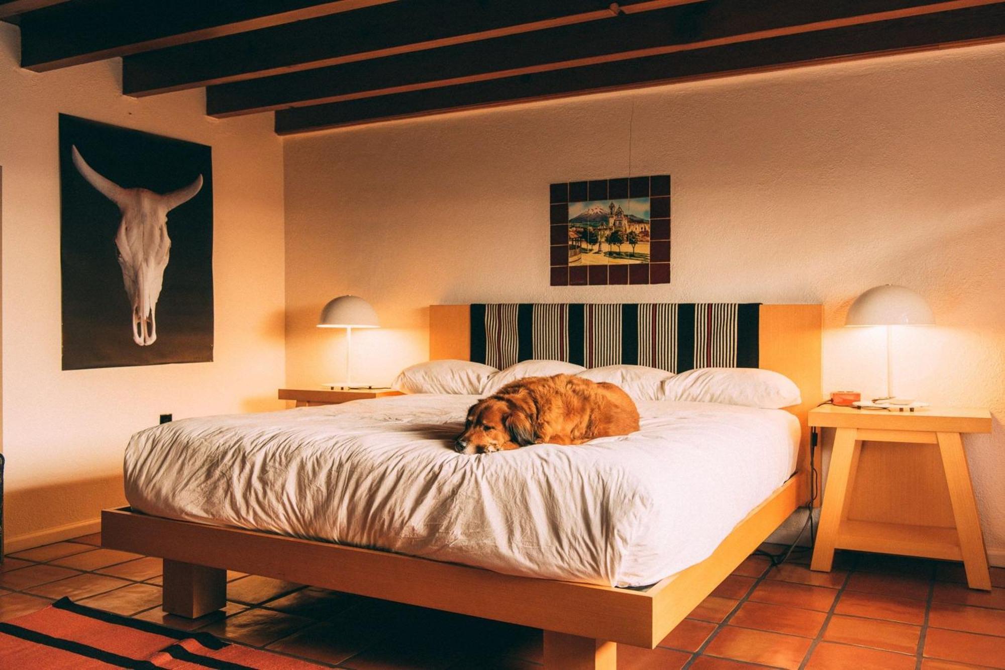 El Rey Court Hotel Santa Fe Ngoại thất bức ảnh